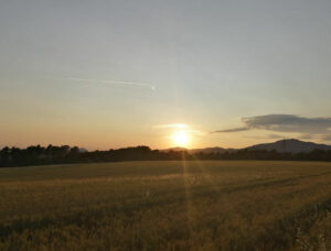 Coches de alquiler en Sabadell