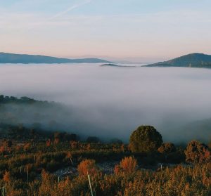 Alquiler de coches en el Aeropuerto de Badajoz